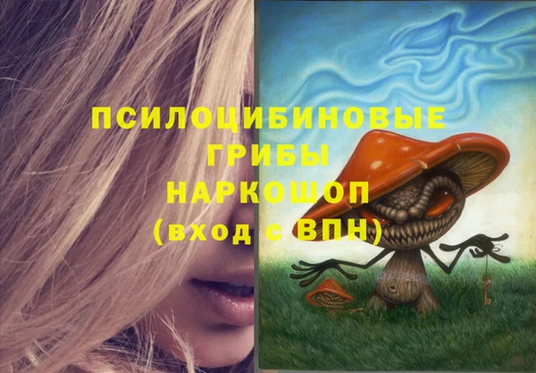 a pvp Бронницы