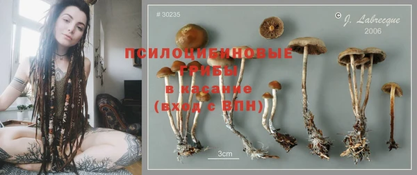 скорость Бородино