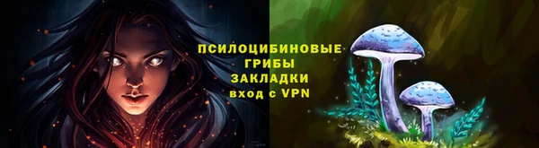 спиды Бугульма